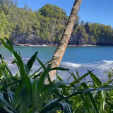  【家族の旅】ハワイ島の北から東へ Part 2